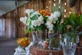 121102_Whiterabbit_0574_2