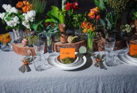 121102_Whiterabbit_0593_2