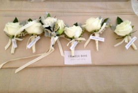 30984_10151120672156344_107705372_n